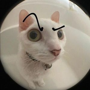 Meet your Posher, Zuko